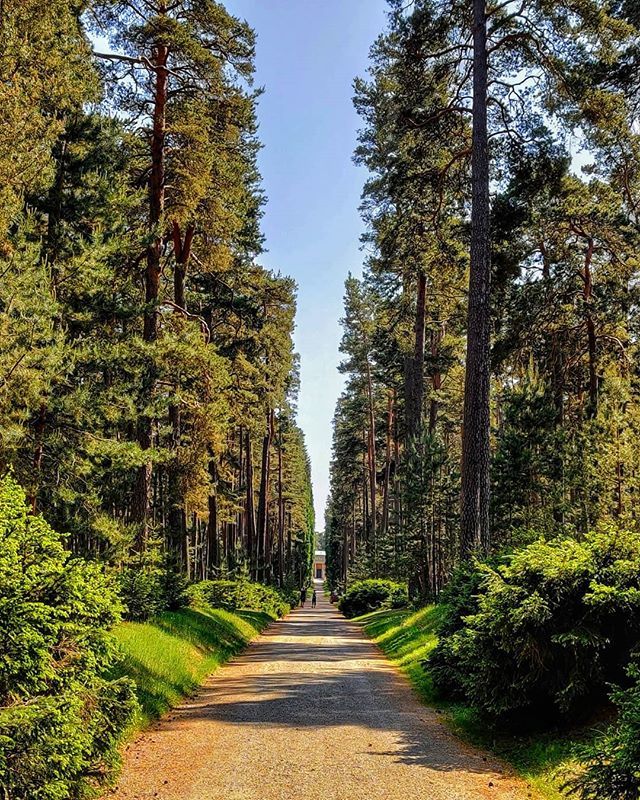 Serenity. 🌲💙🇸🇪
.
.
.
.
.
 #naturephoto #watchthisinstagood #artofvisuals #awesome_earthpix #landscape_captures #rsa_rural #natureaddict #nature_wizards #awesomeearth #naturediversity #ourplanetdaily #earth_deluxe #instanaturelover #nature_prefection … bit.ly/2WPv2Ab