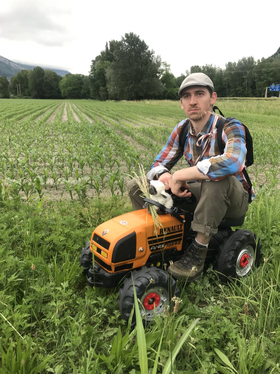 AI France tweet media