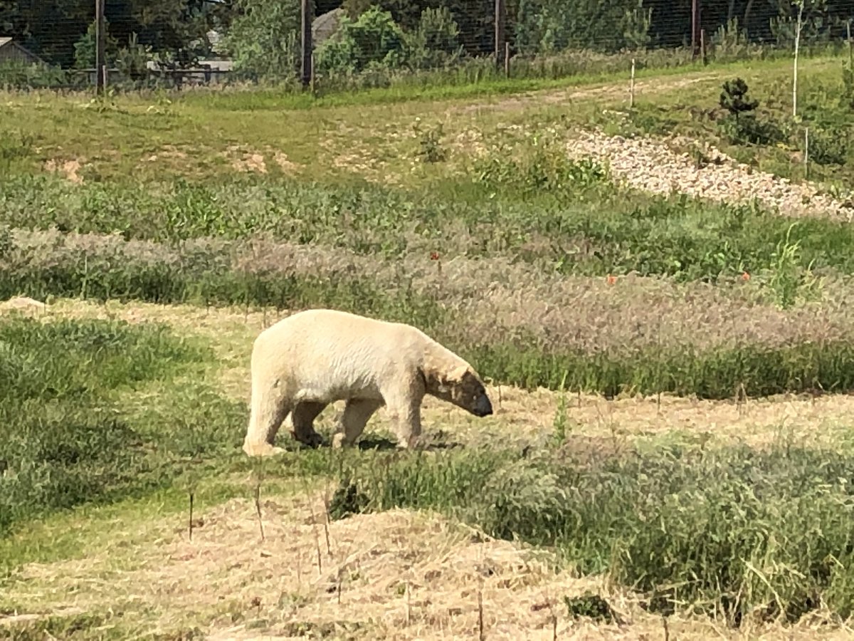 Mr_D_Callaghan's tweet photo. A fabulous day amongst many a wild creature @YorkshireWP with @Harts_R1 &amp; @Harts_R2 of @hartsholmeacad 🦏 https://t.co/vJykEeSfla