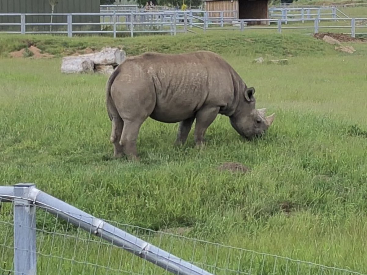 Mr_D_Callaghan's tweet photo. A fabulous day amongst many a wild creature @YorkshireWP with @Harts_R1 &amp; @Harts_R2 of @hartsholmeacad 🦏 https://t.co/vJykEeSfla