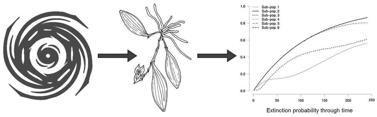BenjaminJCrain's tweet image. Good news! My article was downloaded enough to be a #Top20Article.
esj-journals.onlinelibrary.wiley.com/doi/10.1002/14…