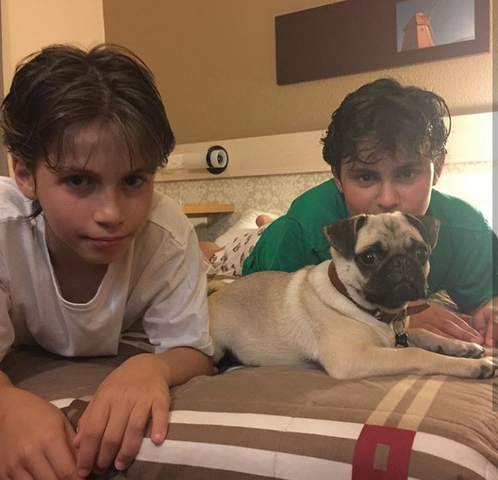 KonardMartin's tweet image. 