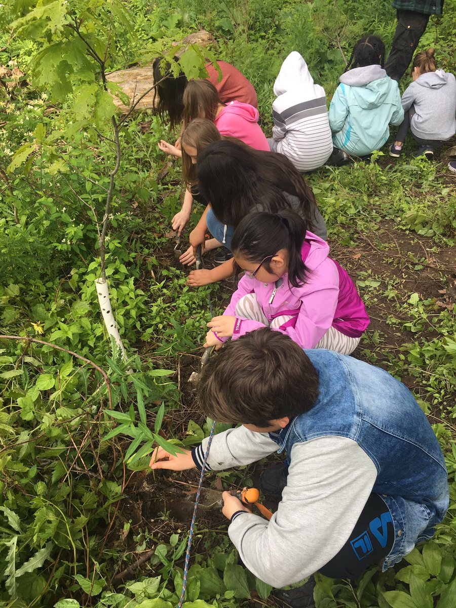 Planting in the marsh! #hillsideinspires