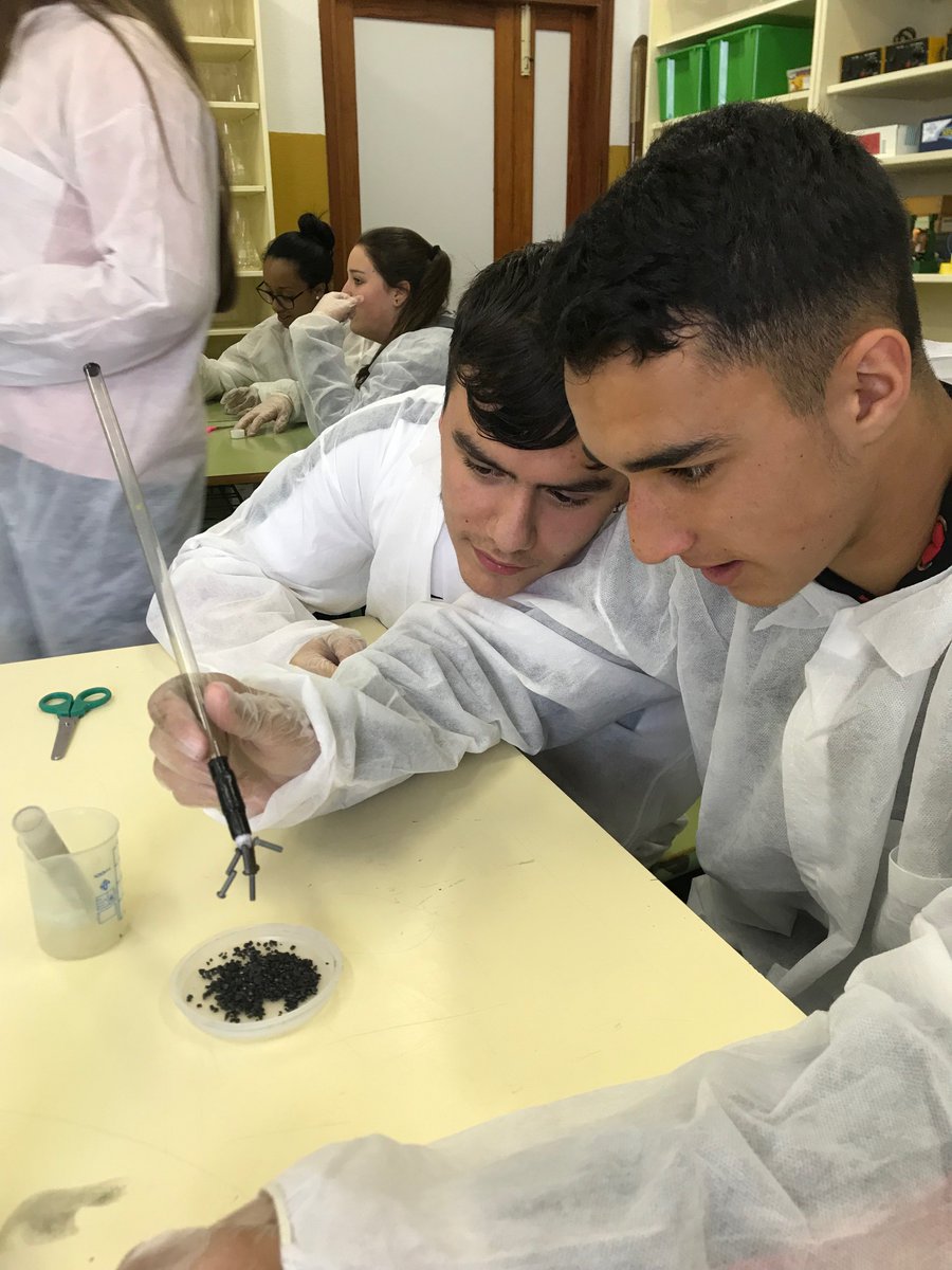 CienciaULL's tweet photo. 🚀Hoy, alumnado de 3º/4º ESO del IES📍El Tanque📚han realizado los talleres científicos "El último superviviente"🔎💦y "Separación de mezclas"👩‍🔬👨‍🔬y el taller de acoso-ciberacoso y act. para potenciar las voc. científicas en las niñas👩‍💻👩‍🏫del programa Conect@ Cienci@ULL🔭🎨 de @ULL https://t.co/3MXuovPd6W