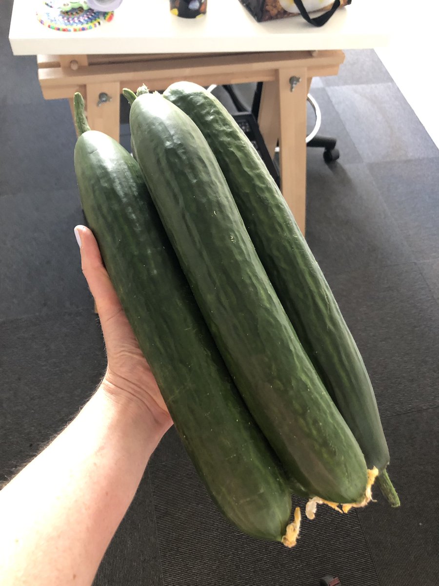 Today, myself &amp; <a href="/GarethLoudon/">Gareth Loudon</a> had our last meeting on our Welsh Government Smart Partnership with <a href="/phytoponics/">Phytoponics</a>. The result: successful trials of multiple prototypes for smart controllable growing of fresh produce.  We’re taking cucumbers home as a result.  #CSAD #cardiffmet #HCD