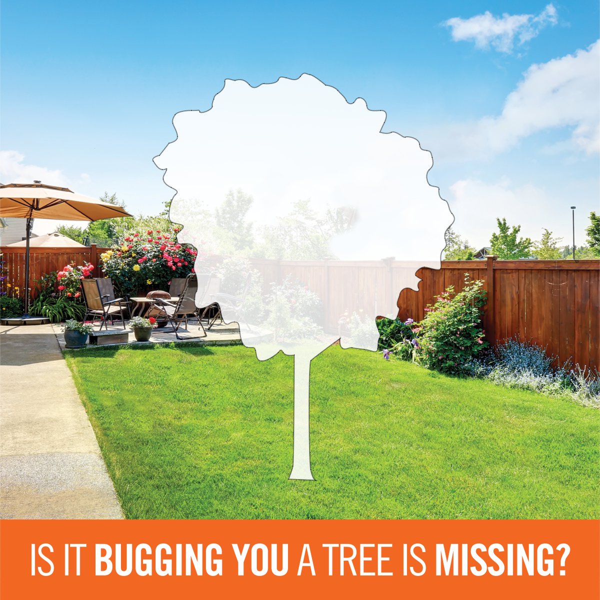 YorkRegionGovt's tweet photo. Have you lost or are you losing an #ashtree ? You can save $100 when buying a new tree through @LEAF to replace your dying, dead or removed ash trees. Apply today to get your rebate! Visit: https://t.co/ffAhTOqaxG

 #EAB #YRTrees #backyard #backyardenvy #plantlove #plantatree https://t.co/IrGV4vJ8zz