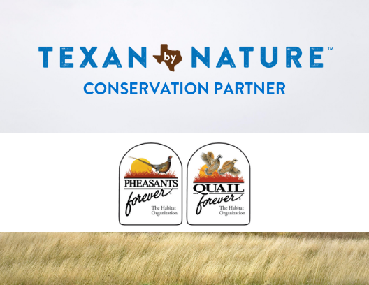 Texan by Nature is thrilled to welcome <a href="/pheasants4ever/">Pheasants Forever</a> and <a href="/quail4ever/">Quail Forever</a> as one of our new Conservation Partners! We are excited to share and support their vision for the future of wild pheasants, quail, and other wildlife. pheasantsforever.org