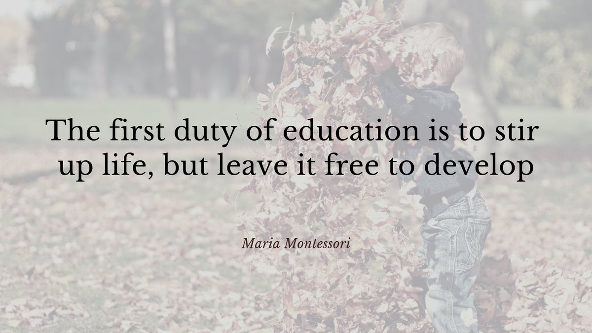 TheMikeMohammed's tweet photo. #EDTHOUGHT of the day - EY Series - I strongly believe all Ts, but more importantly #EarlyYears Ts create #Learning Environments that foster exploration - What is even more important is the restraint Ts need to have to let Ss learn in their own way @EarlyYearsTDSB @MsPoulis #EYD https://t.co/9Qp47c5RaS