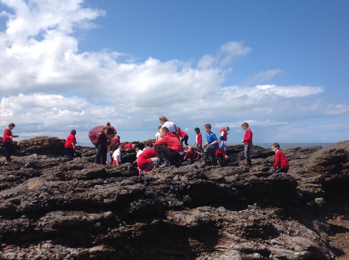 Mrs Jones tweet media