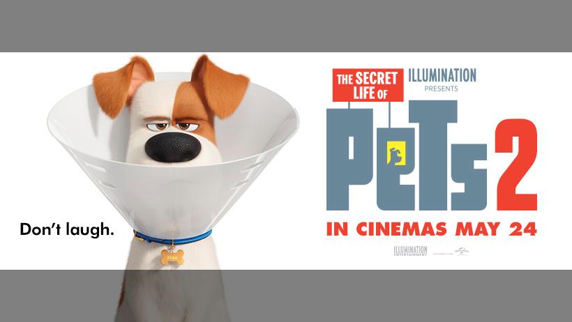 The Secret Life of Pets for mac instal free The Secret Life of Pets for mac instal free