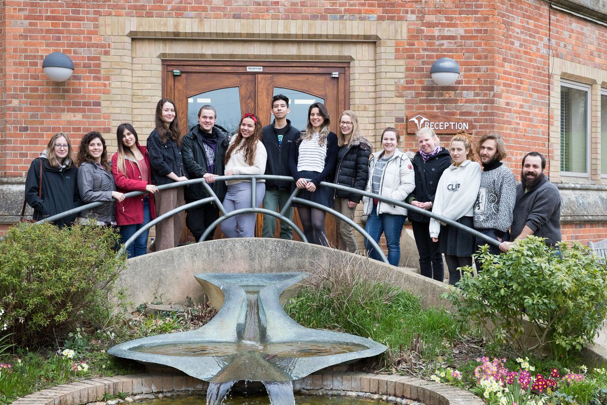 The Mount Camphill tweet media