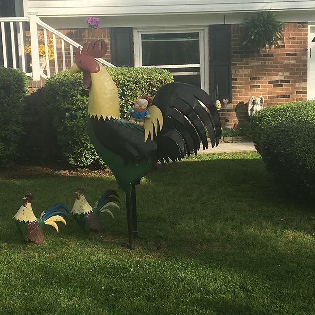 Kenidy let me ride the rooster!  Great use of color with these guys! bit.ly/2QO01XZ