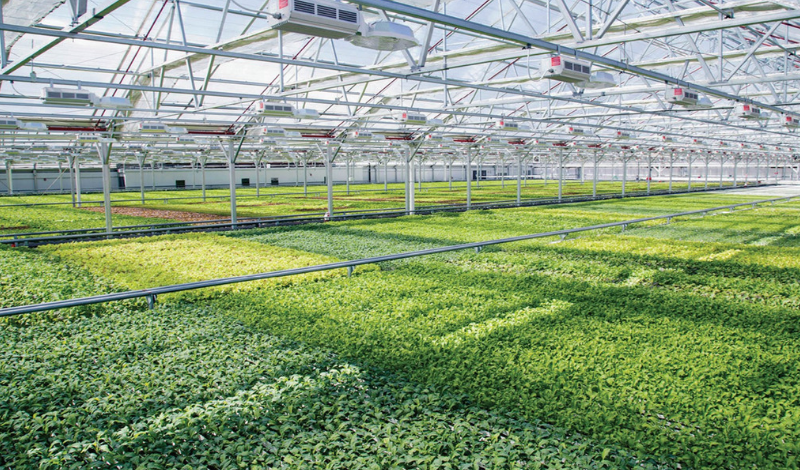 grmetrology's tweet photo. Agriculture accounts for 70% of all water consumption, but the efficiency rate of that water consumption is very low. How do we improve this process and is it necessary for Agriculture sustainability? Read up on a University's project involving load cells!
https://t.co/CXsE6sSfzn https://t.co/W6gPHykMNP