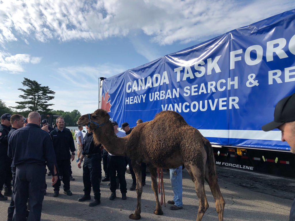 Tom Zajac tweet media