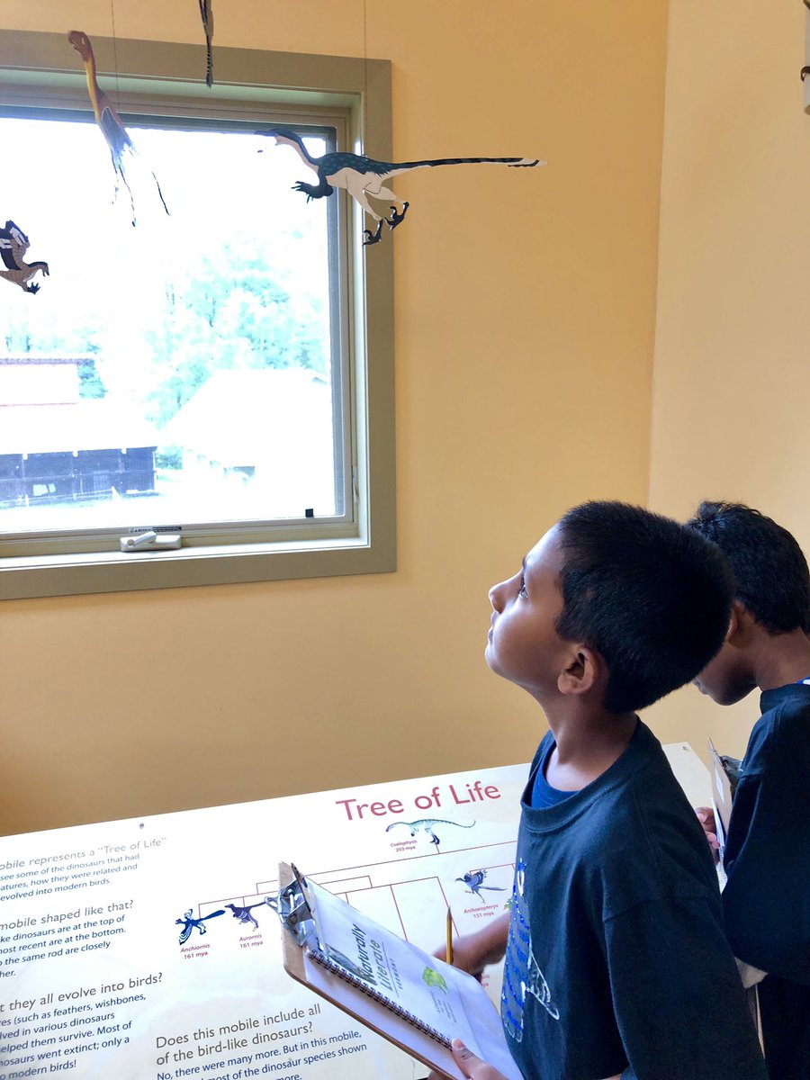 emicarleyvt's tweet image. Birds. Beaks (yes, turtles have beaks!). And Dinosaurs! Making connections in learning here @VINS_Tweets today. #firstgrademagic @OfficialNGSS @amycoyote @SusanKochVT @jillcloster @jazzyjz5 @mrpsvt