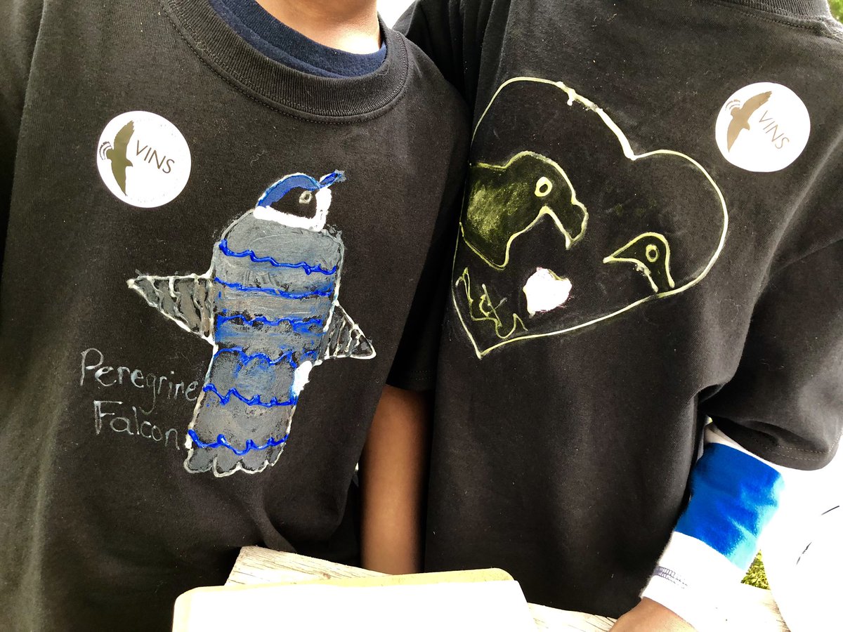 emicarleyvt's tweet image. Birds. Beaks (yes, turtles have beaks!). And Dinosaurs! Making connections in learning here @VINS_Tweets today. #firstgrademagic @OfficialNGSS @amycoyote @SusanKochVT @jillcloster @jazzyjz5 @mrpsvt