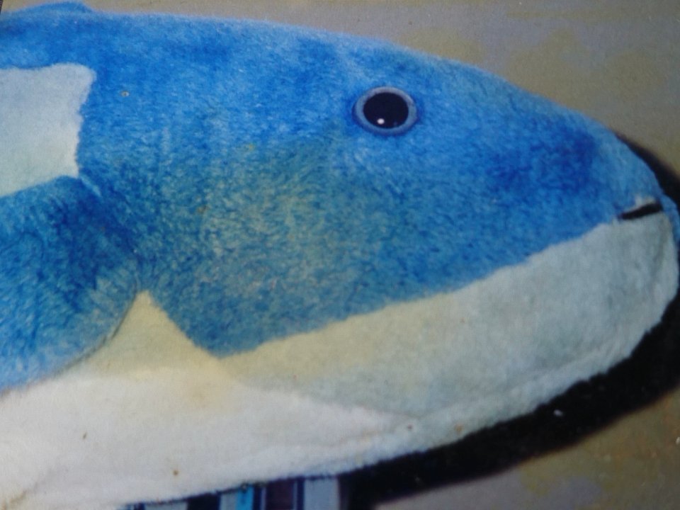 唯@時の農協前🐾⚔️ tweet media