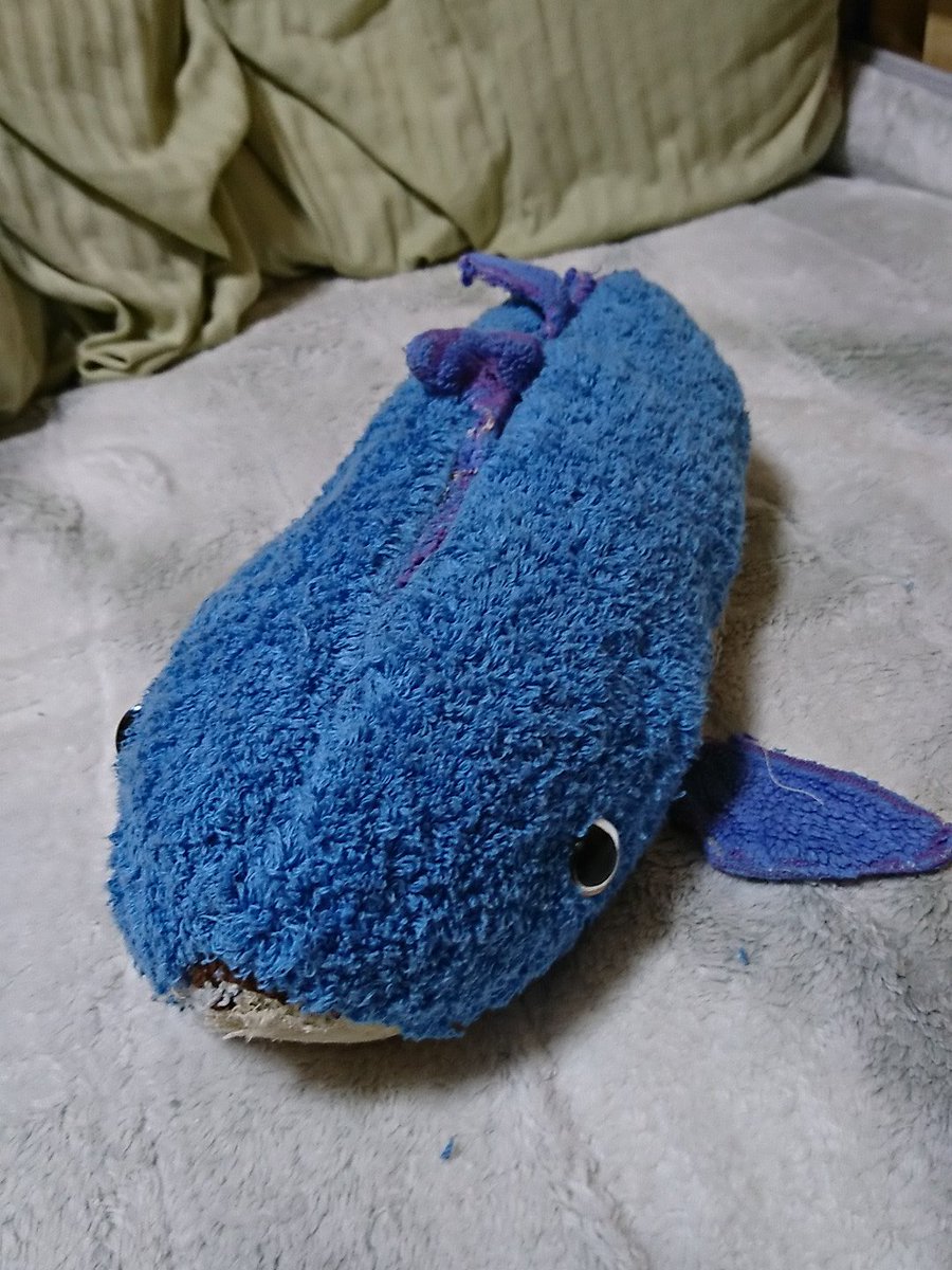 唯@時の農協前🐾⚔️ tweet media