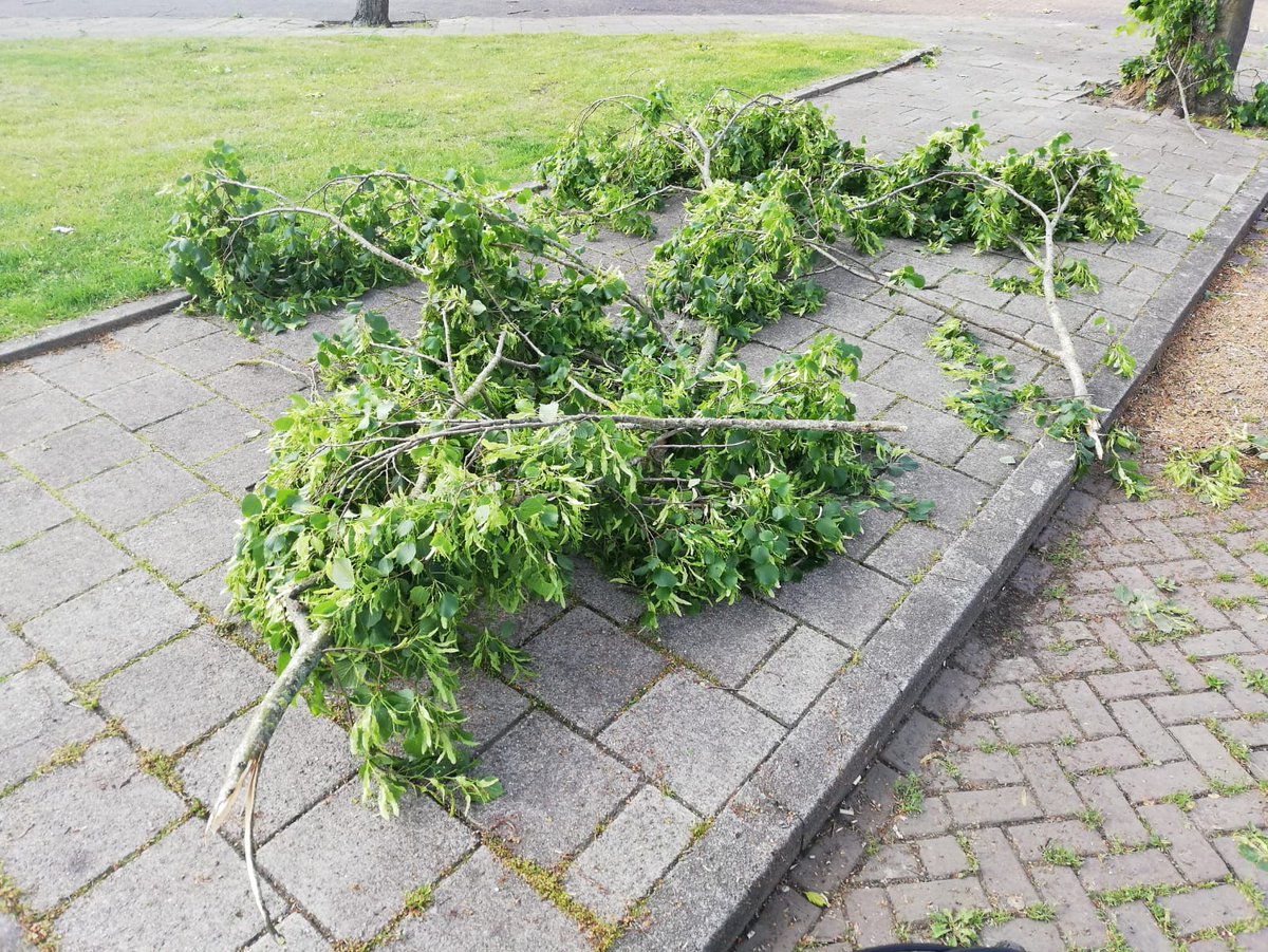 gemeente Eindhoven tweet media