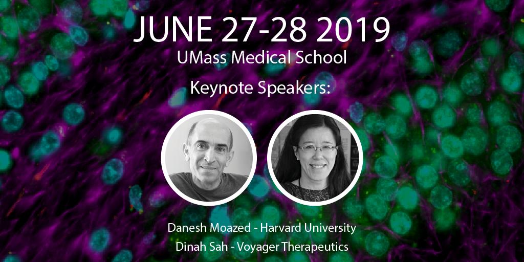 RNA Therapeutics Institute tweet media