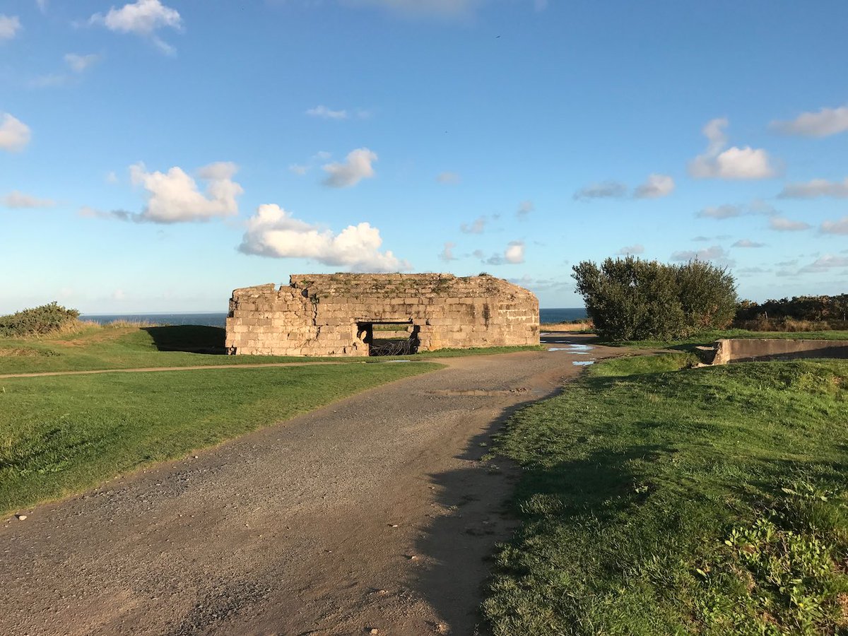 Howard Schultz tweet media