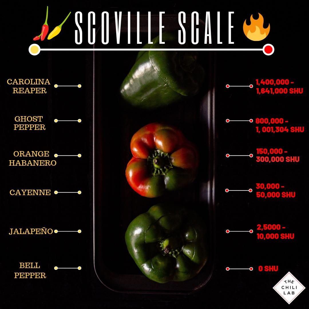TheChiliLab's tweet image. Here at The Chili Lab, we're more about the taste and less about the heat. For us, the heat is just an added bonus to the many layers of flavor inside of #chilies.
🔥🔥🔥
Where do some of our fave chilies measure up? Check out the #ScovilleScale.

#ThursdayThoughts