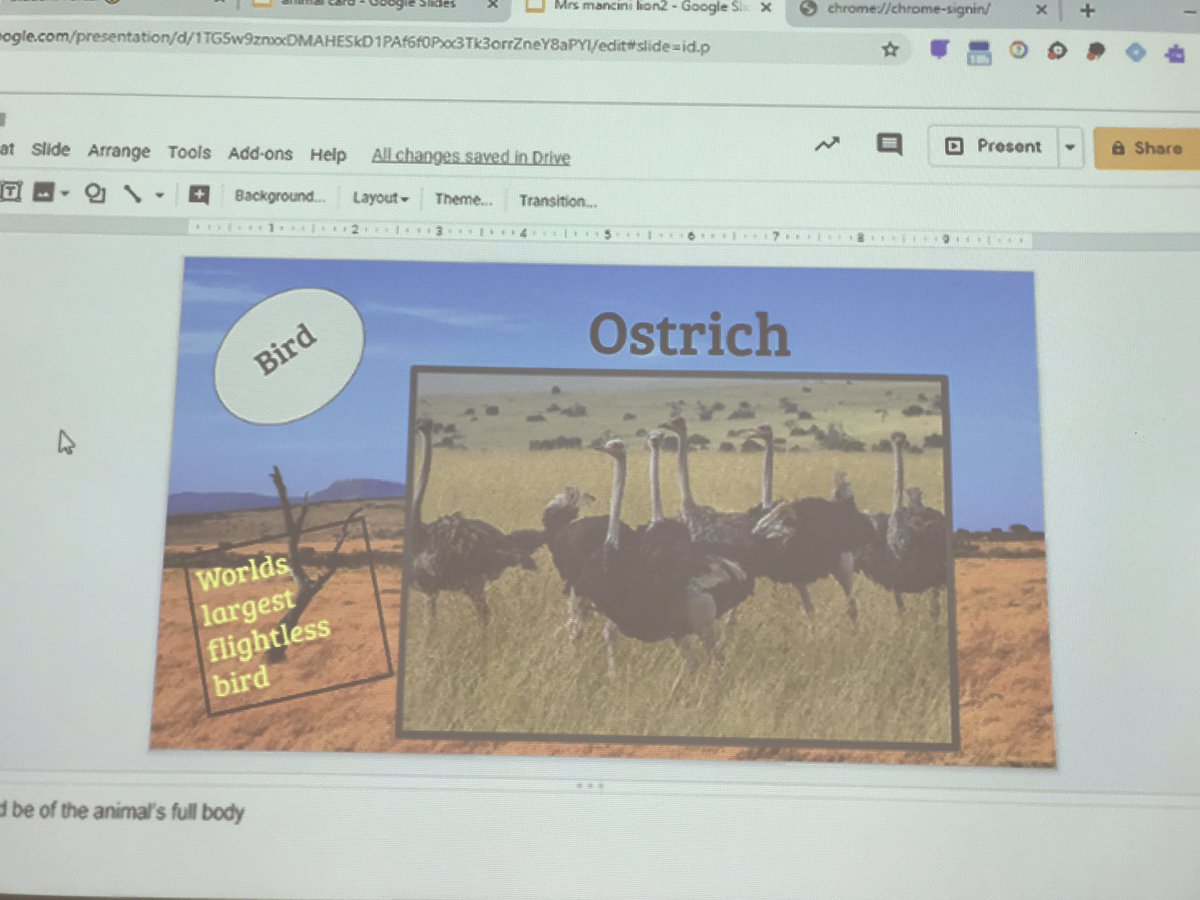 Using Google Slides to create animal cards full of interesting facts!