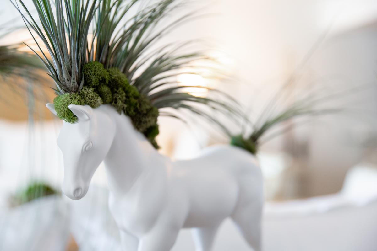 Finding your own truth begins with freeing your mind and unleashing your spirit. #plantdesign #botanicalart shop.plantthefuture.com