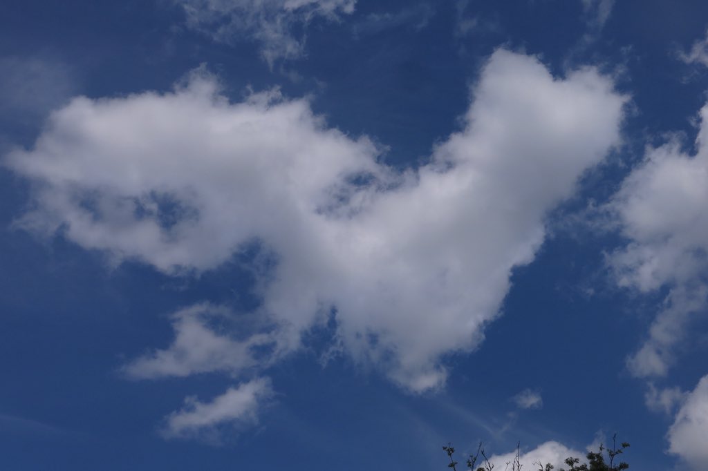 misssmythe_HT's tweet photo. Is there anything better than cloud watching? ☁️☁️ ✨✨💜💜 #actsofwildness #30dayswild #365dayswild #EYFS #earlyyears #EY #EYtalking #outdoorlearning https://t.co/L8uiGX7AUC