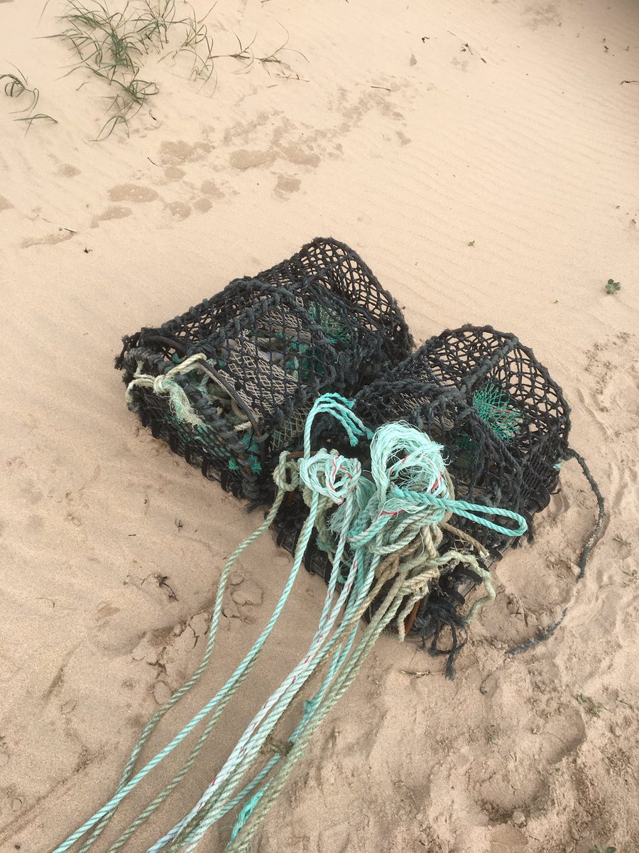 BeachVagabond's tweet image. @2minbeachclean At long last, everything has been ‘sorted’, now awaiting collection by the Council. #Marinelitter #Creels #Fishing #Gear #Pollution 

2   X Creels
20 X Spinners
500m X 12mm Nylon Rope (11 Pieces)