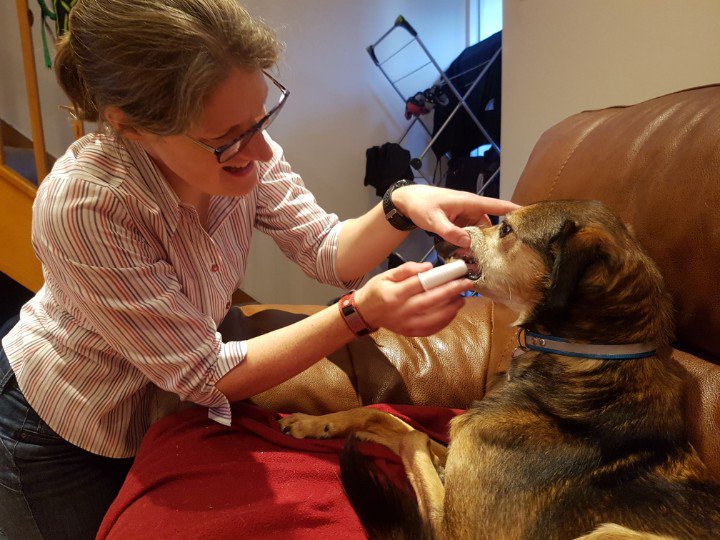 CybiDog's tweet photo. Ermmm. What are you doing? (George) https://t.co/GWRbRWFCJz