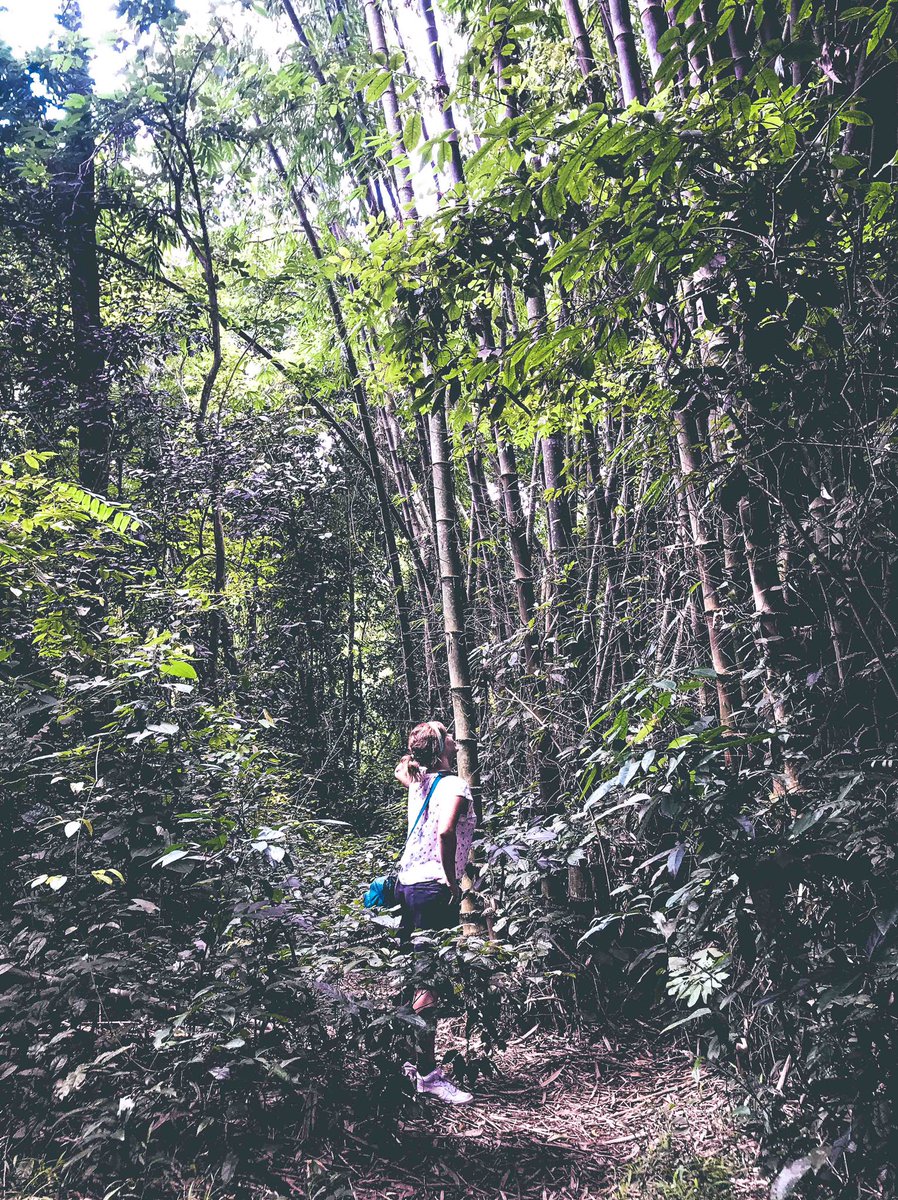 NaiaRaBotia's tweet photo. [ #VIETNAM ] 🇻🇳 #NewVideo
Visitamos los Túneles de Cu Chi y Ho Chin Minh - #VLOG10 Vietnam - https://t.co/eSPjN60qOO vía @YouTube #modotraveller #viajar #asia https://t.co/BnRGUr87VY