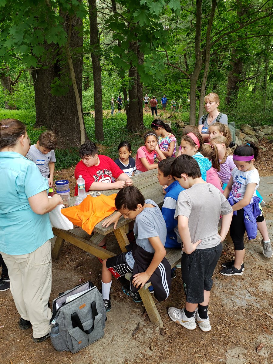 More Moose Hill pictures!