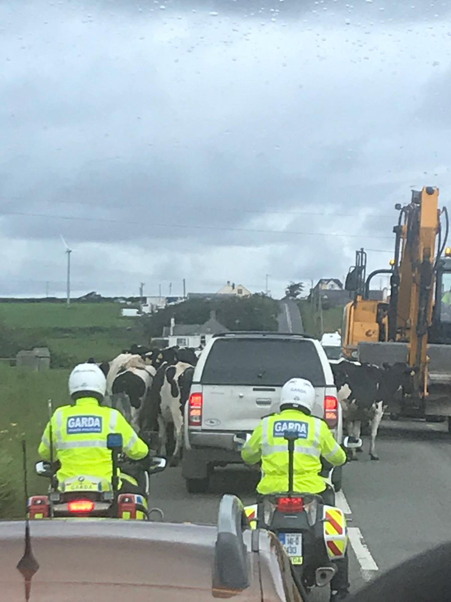 Have you herd??? We didn't just escort the President over the few days in Clare.....

Just an udder day on the job. 

Milking this one!

#TrumpVisit #TrumpInIreland