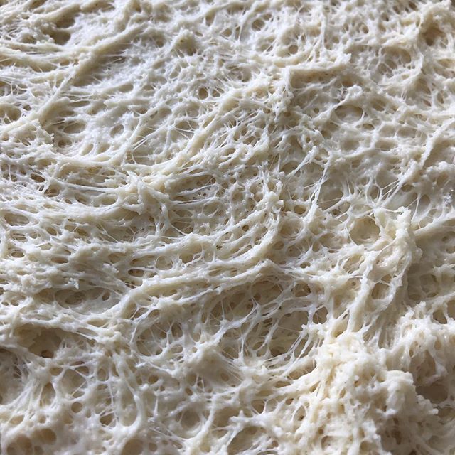 pwrlambert's tweet image. Cellular structure in proving dough. #breathing #formandstructure bit.ly/2EVZw9g