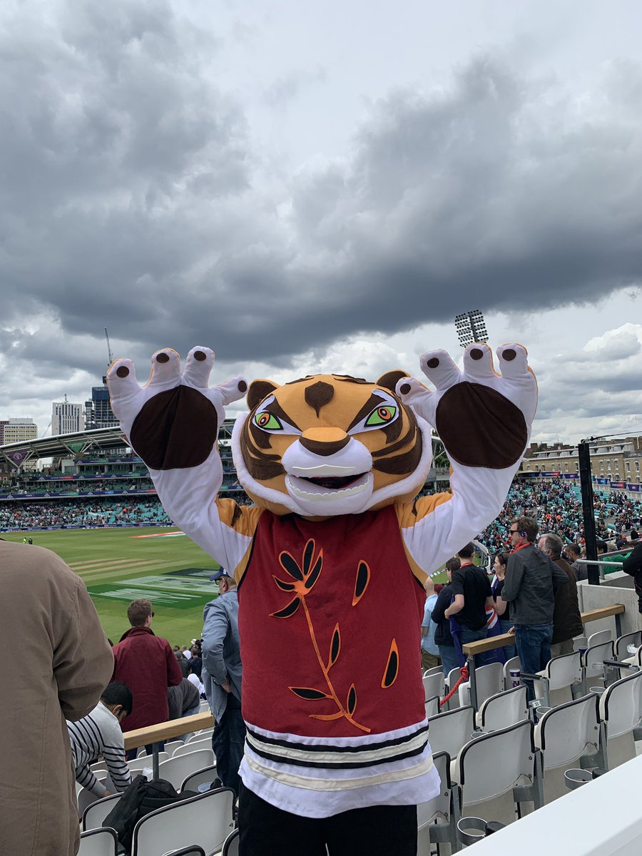 Mat Falconer tweet media