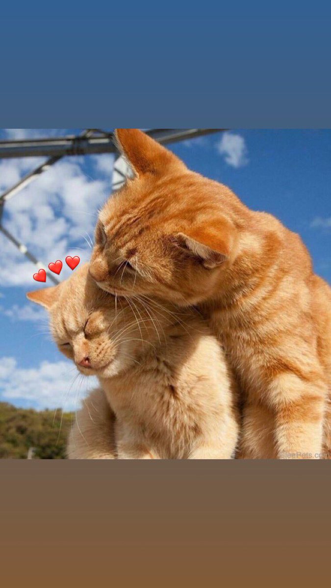 AbtxnTV's tweet photo. How I’m tryna be https://t.co/ez4Av0Ik4d