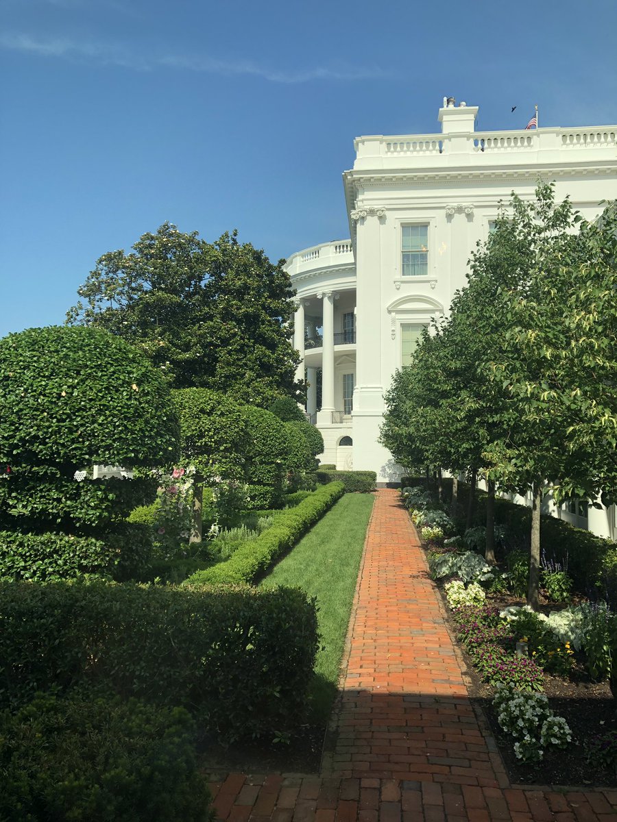 Kate Maguire tweet media