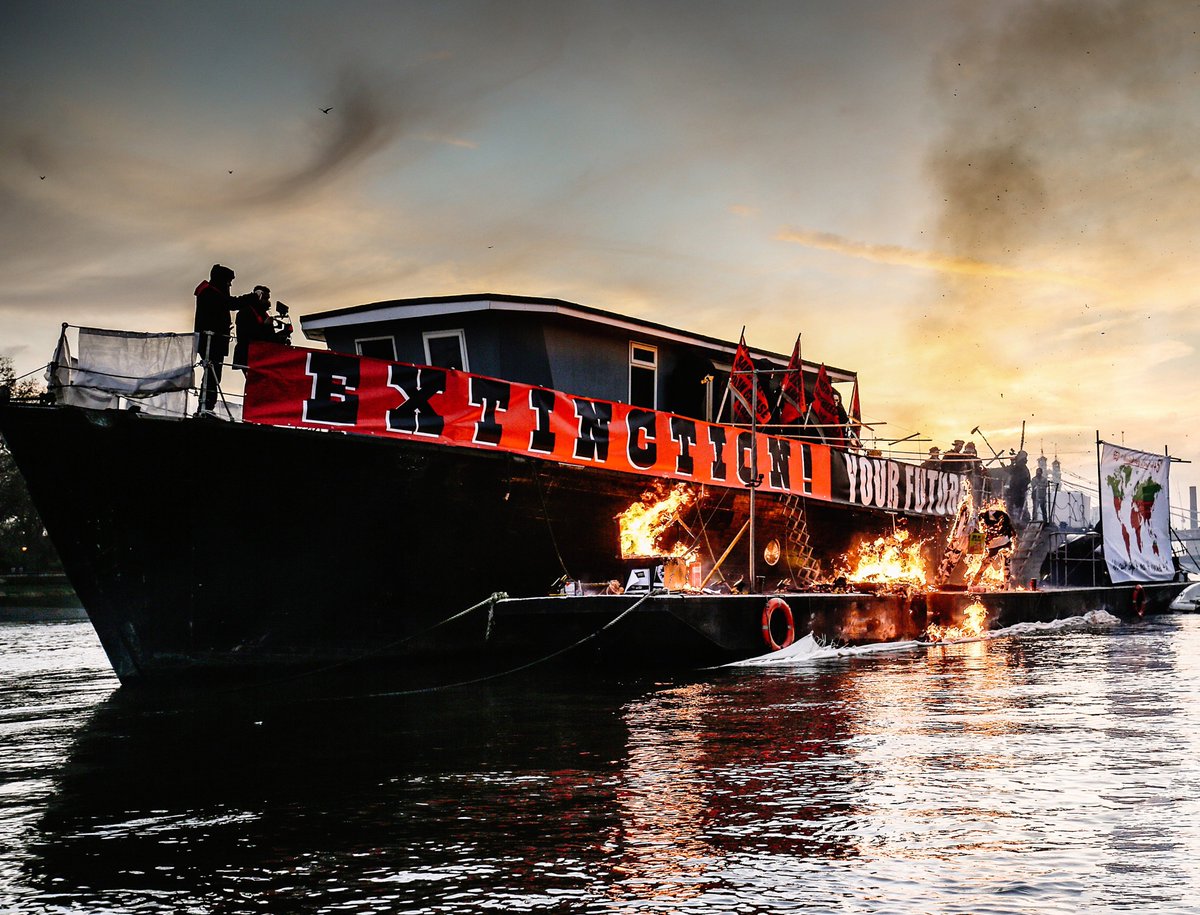 Wake Up Punk tweet media