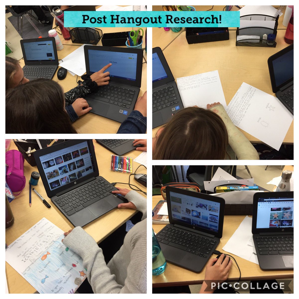Great hangout today with <a href="/Cutlers_Catch/">Joseph Cutler</a> at the Intertidal Pools in California. We googled so many new words! 😁

#ExplorerClassroom

<a href="/NatGeoEducation/">Nat Geo Education</a> <a href="/EBTSOYP/">ExploringByTheSeat - Find us on BlueSky</a> 

<a href="/StJohnBoscoYEG/">St. John Bosco School #SJBStrong</a>