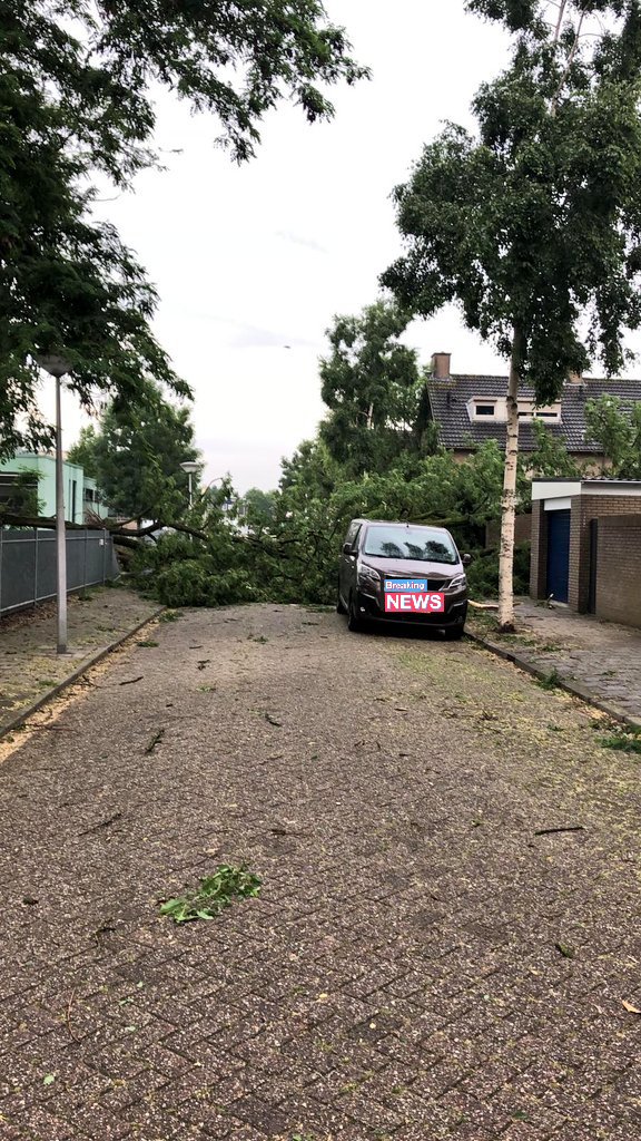 originaliris's tweet image. Toch fijn dat de @gem_Eindhoven overal al kleine blaadjes aan het opvegen is, terwijl er bij ons nog steeds een hele BOOM op de weg ligt die onze straat volledig afsluit (doodlopend). #Storm #DagTwee