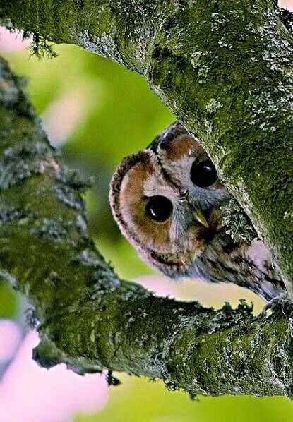 Curioso donde???😂😂