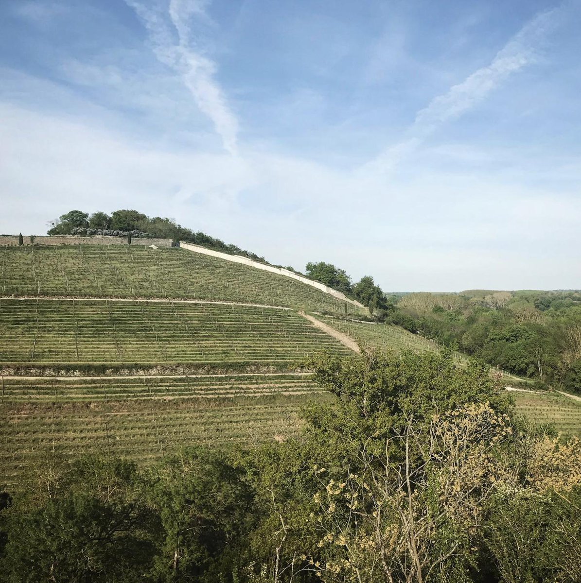 PauleeAnjou's tweet photo. Could you tell us where this picture was taken? 

HINT: The 8th Edition of the Paulée de l'Anjou would be happening in this place.

For more information, visit https://t.co/OE5CZdr7nX

Photo: Fandecheninin

#PauleedelAnjou #paulee https://t.co/bdTmtlchvx