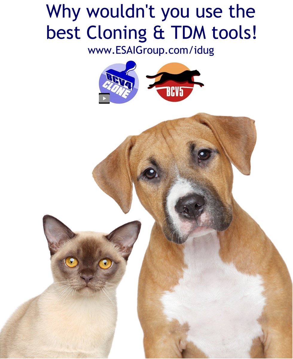 ESAi Orlando tweet media