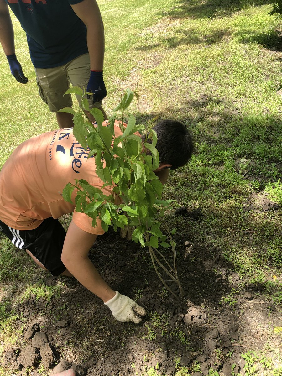 HPRHS_peyton's tweet photo. #APEnvironmental SS’s plant 40 trees today in Sussex Boro! @HPRwildcats https://t.co/flO6OBfIDJ