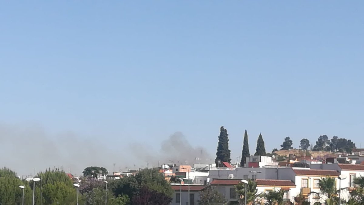 Sevilla Más Verde tweet media