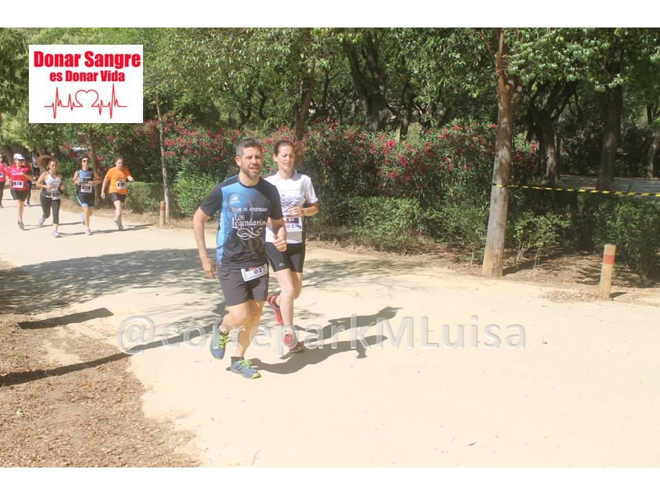 correparkMLuisa's tweet photo. @CLosLegendarios en la «VI #CarreraSolidaria Corre con #Giralda»
Ver más fotos:https://t.co/YpRezAwrjJ 
#TDSDeporte #DeporteSEV #Sevilla #SevillaHoy https://t.co/WQDiFxSrpp