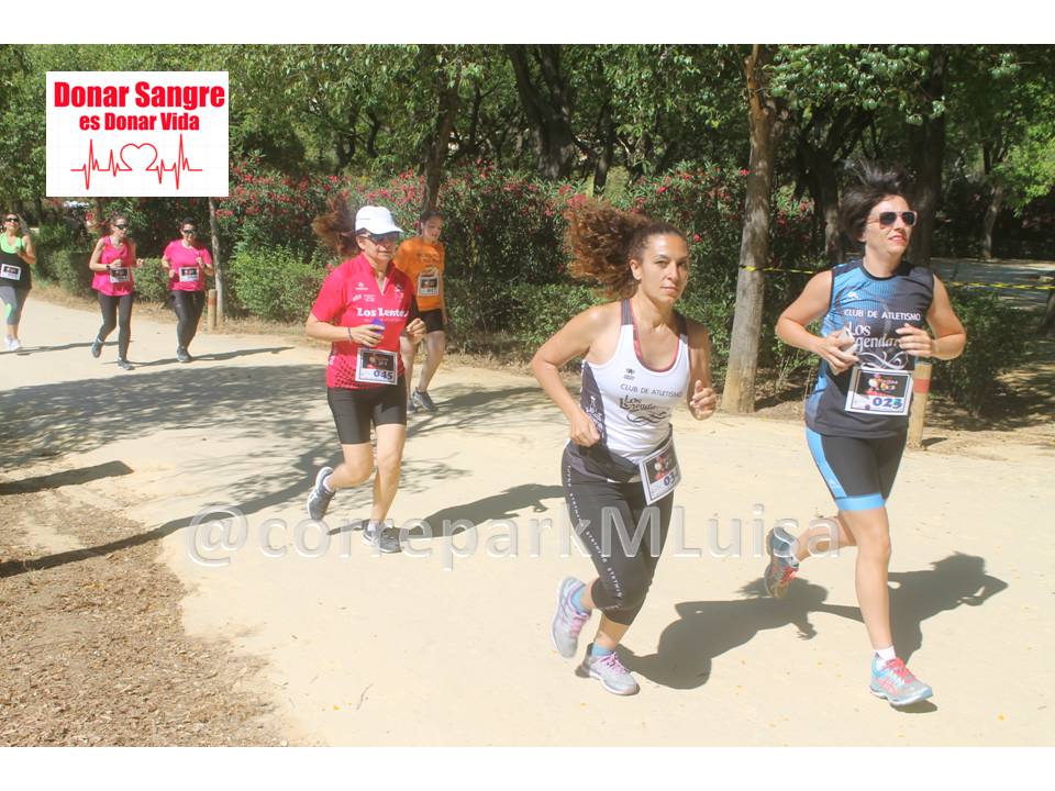 <a href="/CLosLegendarios/">C.A.Los Legendarios</a> en la «VI #CarreraSolidaria Corre con #Giralda»
Ver más fotos:bit.ly/2XweJ8s 
#TDSDeporte #DeporteSEV #Sevilla #SevillaHoy