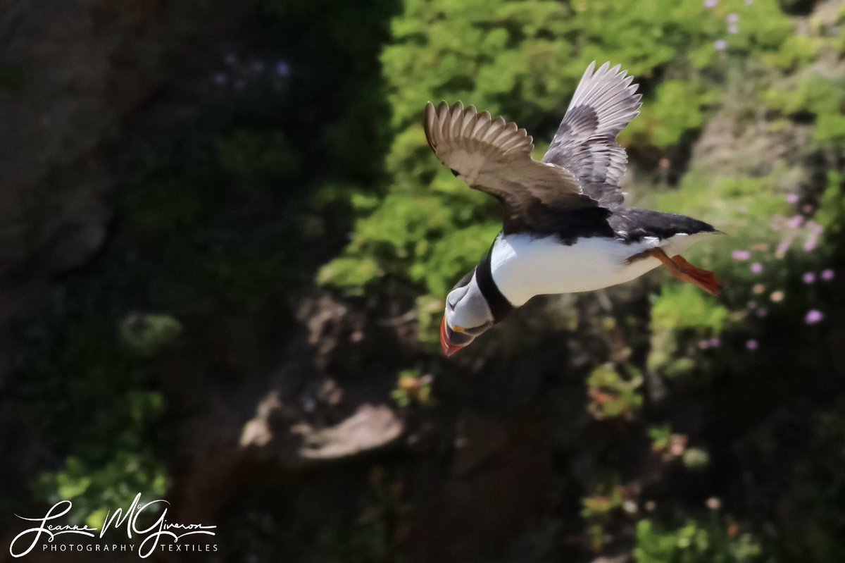 Images by Leanne tweet media