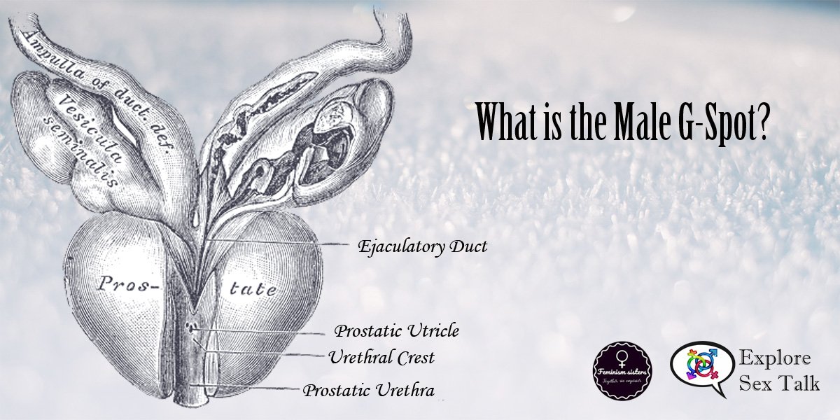 Where can the prostate be location Where can the prostate be location